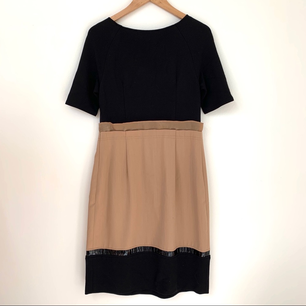 Shani | Black and Tan Mid-length Dress - Picture 6 of 12